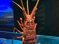 -徐记海鲜(大雁塔|金都店)