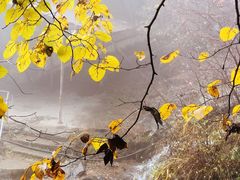 -藏龙百瀑风景区