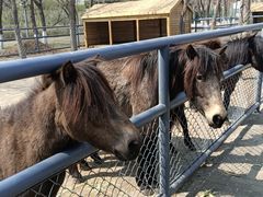 -长白岛森林公园