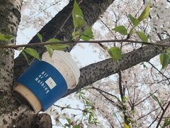 -AllorNothing横竖横咖啡(天虹店)