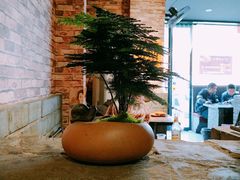 -花雕醉鸡(北大街义勇街店)