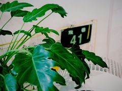 -About Bistro關於·泰式家庭料理