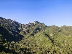 -大岭沟猕猴桃谷风景区