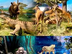 -国家自然博物馆