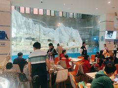-帝企鹅自助餐厅•儿童岛•真企鹅(长隆企鹅酒店)