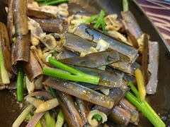 蛏子-欢乐海岸美食联盟