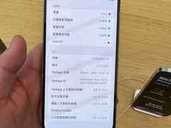 -Apple 零售店(Canton Road)