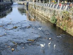 -杨柳河(地铁站)