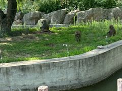 -齐齐哈尔龙沙动植物园