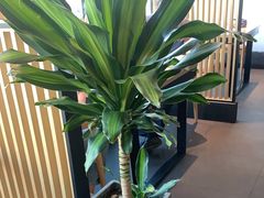 -享月汤皇·海鲜小火锅·聚会(曲江创意谷店)