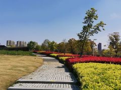 -白塘生态植物园