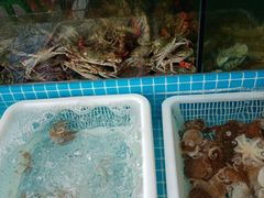 水产区-老东镇啤酒屋海鲜加工·蒸汽海鲜·海鲜烧烤(台东店)