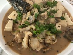 -煲来饱去冷水鱼