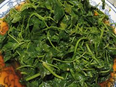 草头二十二元-海江5号