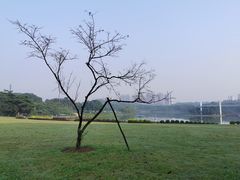 -东莞植物园