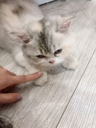 -Beauty Nails 美甲美睫皮肤管理