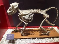 -国家自然博物馆