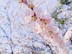 -朝阳公园