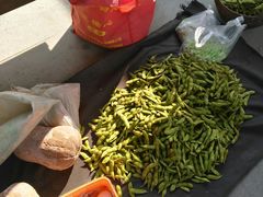 -锦江中华村农家乐饭庄