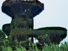 -芒洲湿地公园