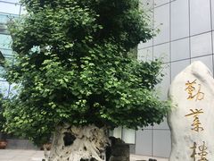 -西南政法大学(渝北校区)