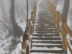 -西安祥峪森林公园