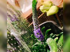 -BOBLOOM花店(宝龙旭辉广场店)