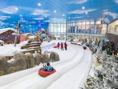 -世界之窗阿尔卑斯冰雪世界