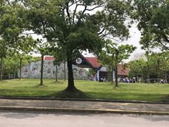 -上海海湾国家森林公园