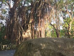-乌山风景区