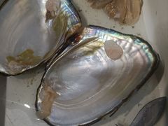 -十八字金·银饰·开蚌DIY·手工体验团建(世纪金源店)