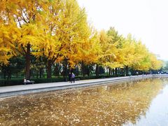 -玲珑塔公园
