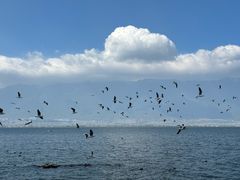 -大理洱海