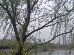 -天津水上公园