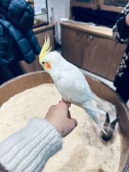 -Zoolung Zoolung动物主题公园(海信广场店)