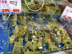 -东江海鲜酒家(艺都分店)