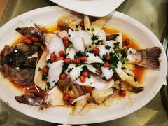-张记旺角食街(动物园店)