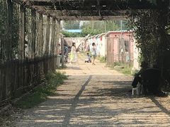 -大自然农场蔬菜草莓采摘园
