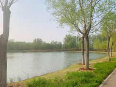 -东郊湿地公园