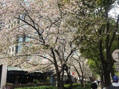 -玛格萝妮比萨屋(四平店)