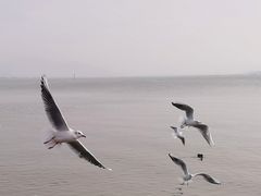 -深圳湾公园(南山区)