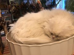 -小时光咖啡馆(北锣鼓巷店)