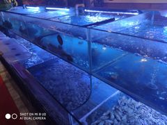 -特色酱椒鱼私房菜(黄鹤楼店)