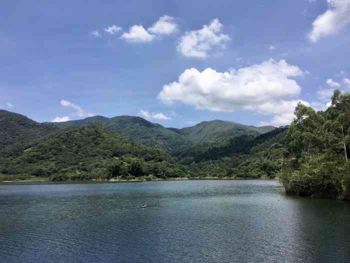 凤凰水库山庄-"95凤凰水库山庄是一家鲁菜餐馆,位于城阳.