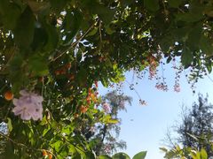 -西涌国际滨海旅游区