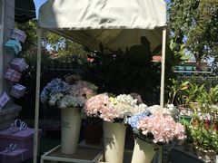 -苏小糖(鼓浪屿三丘田花园店)