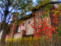 -天津东丽湖风景区