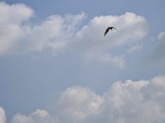 -福清灵石山国家森林公园