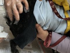-德元·美联众合24小时动物医院(总院)