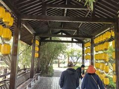 -长兴太湖图影湿地文化园